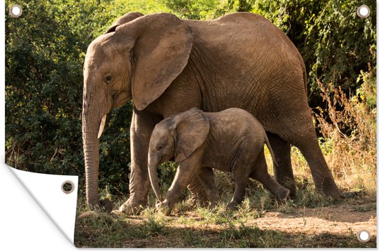 Muurdecoratie Wandelende baby olifant met zijn moeder - 180x120 cm - Tuinposter - Tuindoek - Buitenposter