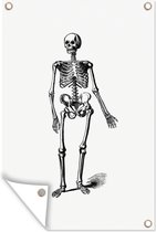 Muurdecoratie Vintage - Skelet - Anatomie - 120x180 cm - Tuinposter - Tuindoek - Buitenposter