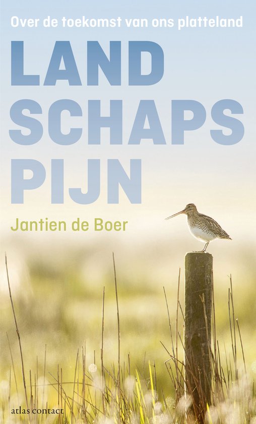 Landschapspijn - cover