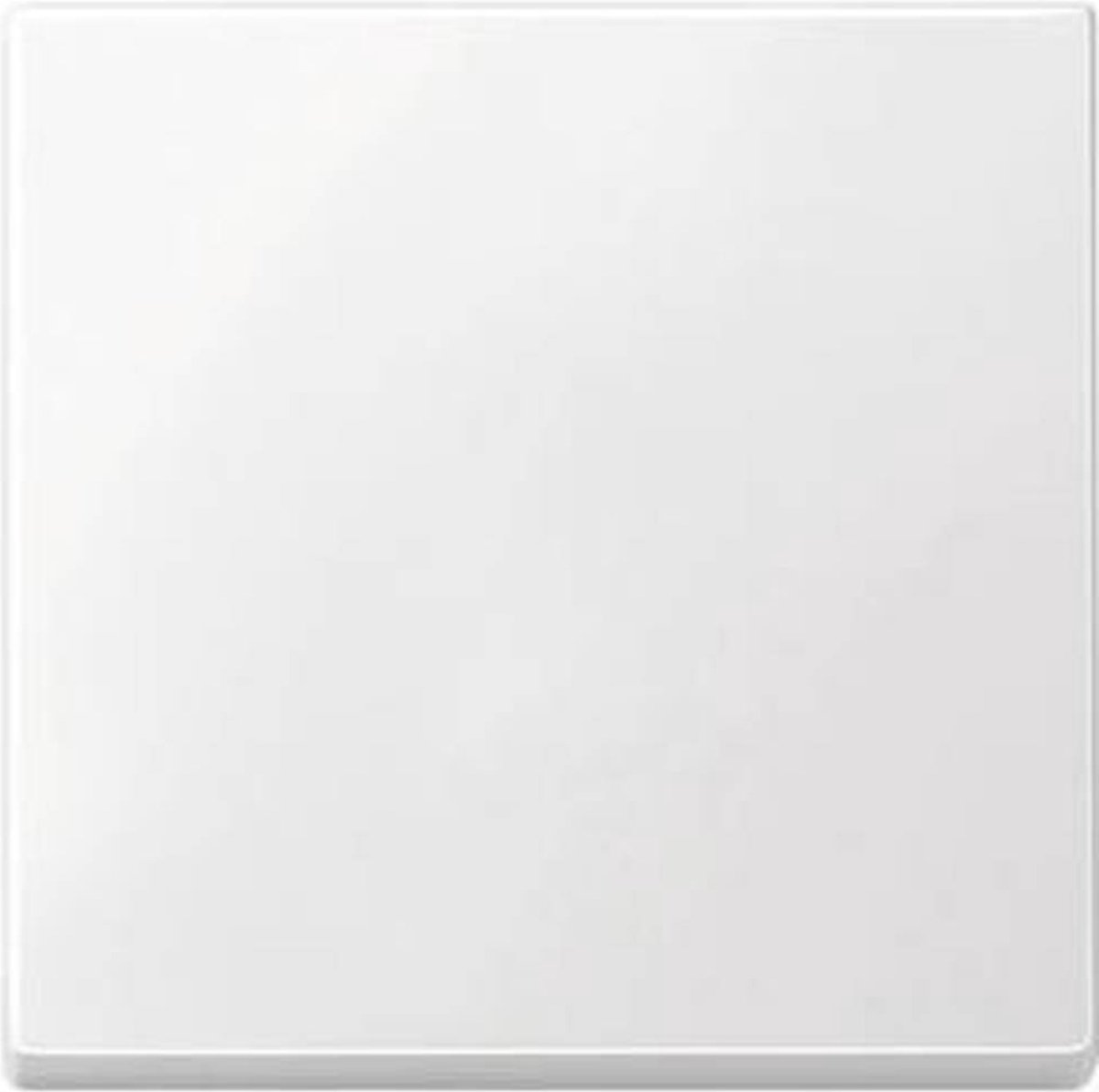 Merten 433119 Wisselschakelaar Afdekking System M Schakelmateriaal Polar-wit