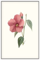 Hibiscus Aquarel (Hibiscus) - Foto op Akoestisch paneel - 60 x 90 cm