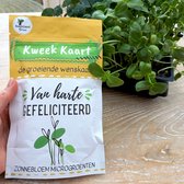 Kweek Kaart - Van Harte Gefeliciteerd - De Groeiende Wenskaart - Zonnebloem Microgroenten/Microgreens - Cadeau