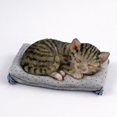 Un chaton très doux et mignon qui rêve sur sa couverture. Qui ne fondrait pas avec ce chat endormi réaliste ? Remarque : il s'agit d'une décoration et non d'un speelgoed. Pour vous-même ou commandez un cadeau
