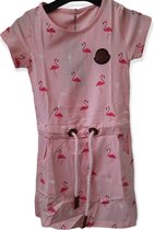 Jurk - Flamingo - Roze