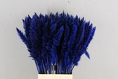 Oneiro’s Luxe Droogbloemen DF Pampas Silvy Bs(10pc) Dark Blue 75cm – hotel chique - binnen - accessoires - decoratie – bloemen – mat – glans – industrieel