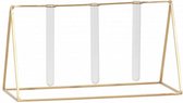 Atlanta reageerbuis houder 30 x 16 cm goud