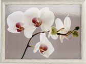 dienblad Orchid Harmony 44 x 34 cm hout taupe