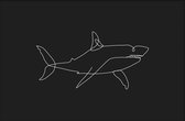 Walljar - Shark Line Art - Dieren poster met lijst