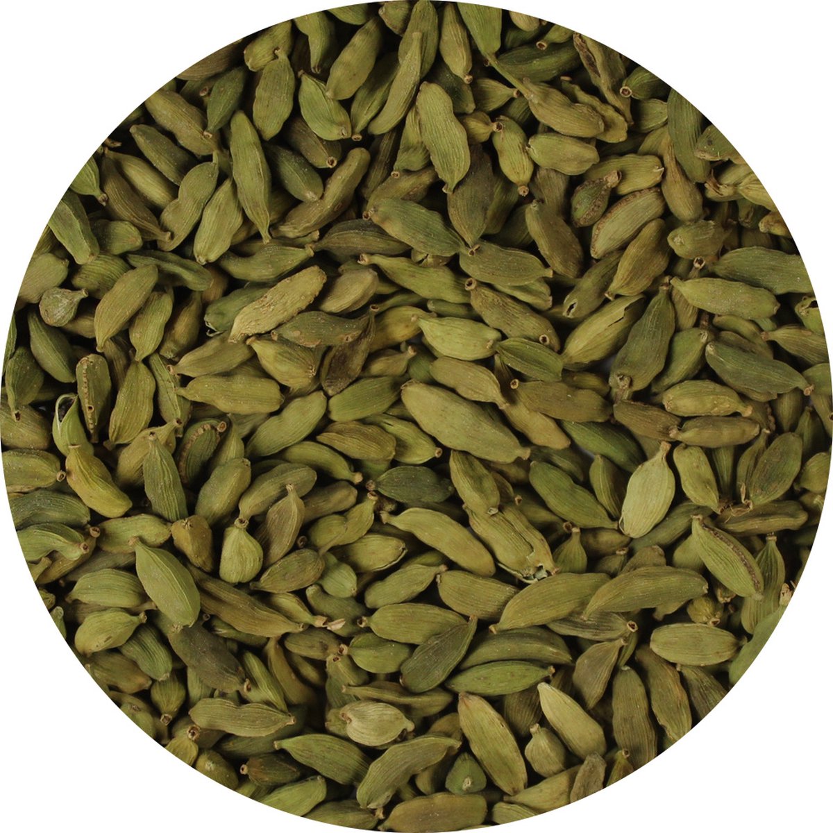 Goedkoopste Van Beekum Specerijen - Kardemom Heel - 20 KG - Zak (bulk verpakking