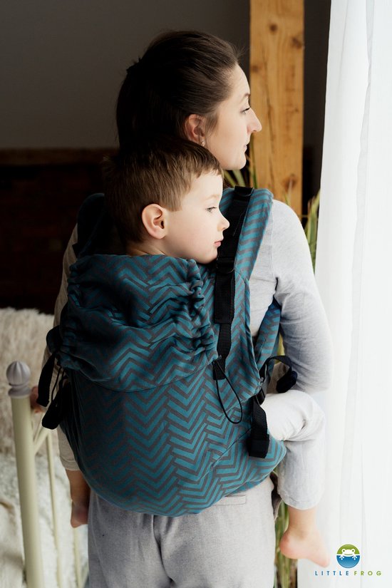 Little Frog XL Toddler Carrier - Dark Miles