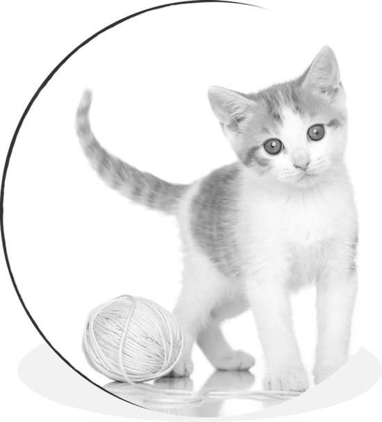 WallCircle - Wandcirkel - Muurcirkel - Kitten met wol - zwart wit - Aluminium - Dibond - ⌀ 60 cm - Binnen en Buiten