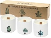 Set Grote Botanische Geurkaarsen - Soy Wax - Victoriaanse Pioenroos - Keramieke Potten