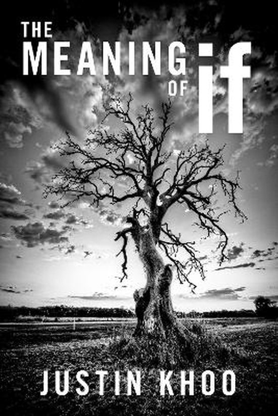 The Meaning of If - cover