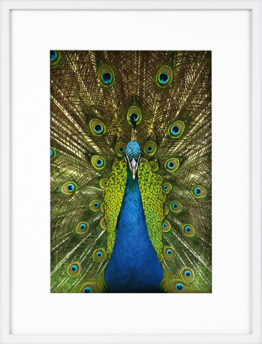 Goldbuch Fotolijst Pino - Wit - 20x30 cm (30x40 cm)