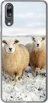 Geschikt voor Huawei P20 hoesje - Groep nieuwsgierige schapen - Siliconen Telefoonhoesje