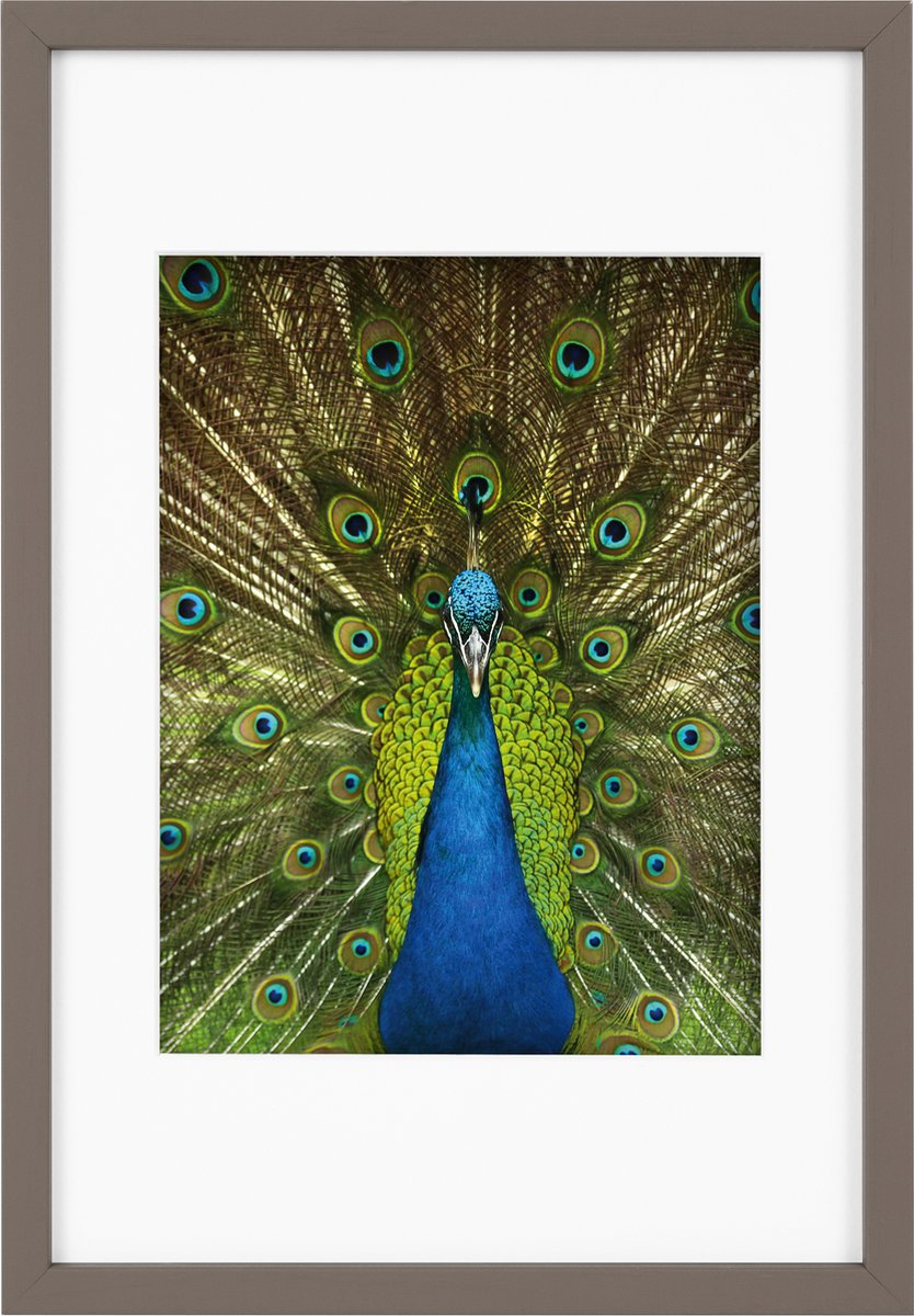 Goldbuch Fotolijst Pino - Taupe - 15x20 cm (20x30 cm)