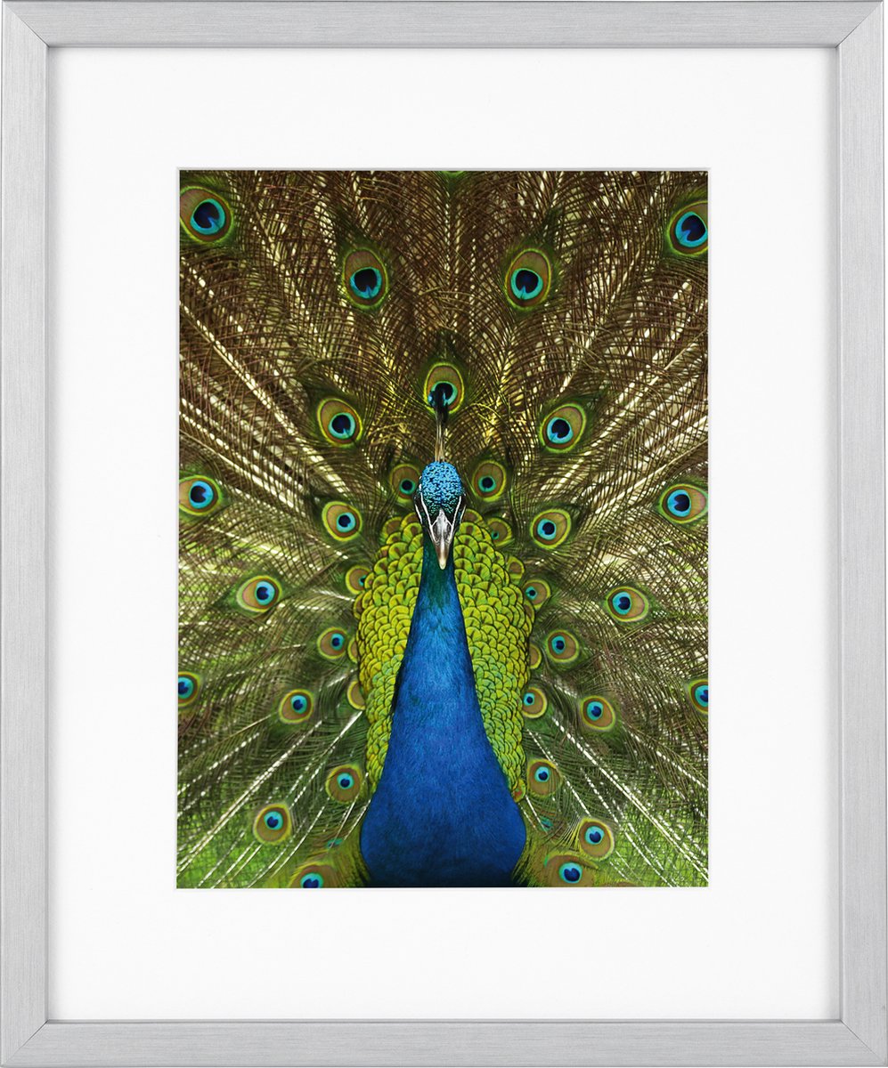Goldbuch Fotolijst Pino - Zilver - 13x18 cm (20x25 cm)