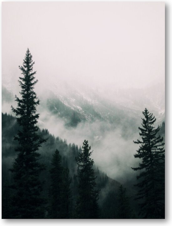 Hoge bomen in het bos in de bergen bedekt met de mist | Poster Staand | Besteposter | Landschap