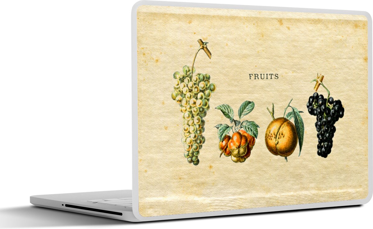 Laptop sticker - 17.3 inch - Fruit - Druif - Vintage - 40x30cm - Laptopstickers - Laptop skin - Cover