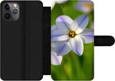 Bookcase Geschikt voor iPhone 11 Pro telefoonhoesje - Bloemen - Tuin - Paars - Met vakjes - Wallet case met magneetsluiting