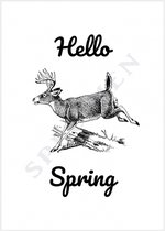 A6 enkele voorjaars kaarten hello spring - 50 stuks | Lente | groothandel