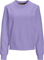 JJXX JXAYA LS REL EVERY SWEAT NOOS Dames Trui - Maat XL