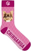 sokken chihuahua polyester roze maat 31-36