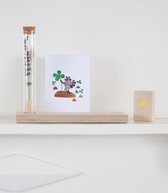 Fleurrier Feeling lucky - Decoratieve droogbloemen shelf - inclusief cadeauverpakking