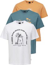 ONLY & SONS ONSGRADY REG SS TEE 3-PACK Heren T-Shirt  - Maat L