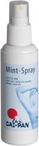 Cai-Pan Mint-olie Spray 100 ml
