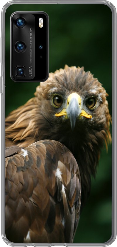 Telefoonhoesje Geschikt voor Huawei P40 Pro hoesje - Arend - Bruin - Roofvogel - Siliconen Telefoonhoesje