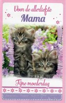 Voor de allerliefste mama! Fijne Moederdag! Wil jij je moeder blij maken? Geef deze schattige kaart aan haar met lieve katjes. Een zeer geschikte kaart voor Moederdag! Een dubbele wenskaart inclusief envelop en in folie verpakt.