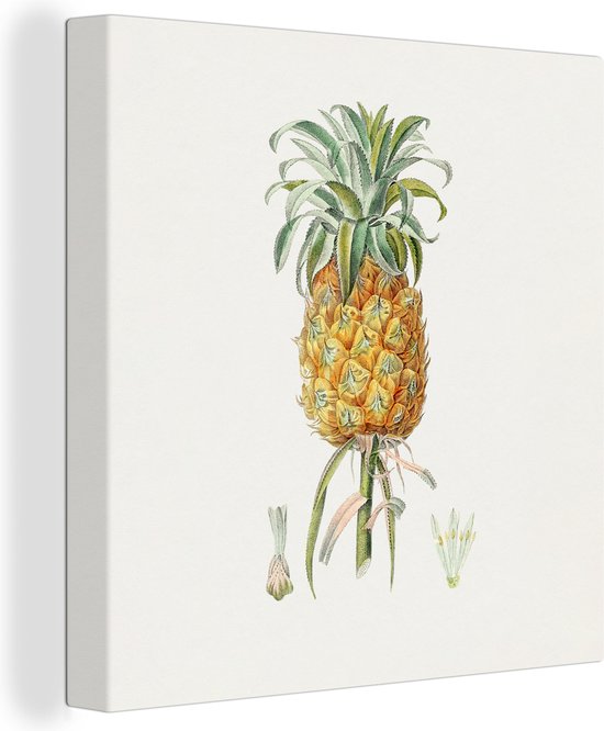 Canvas Schilderij Ananas - Fruit - Plant - 20x20 cm - Wanddecoratie