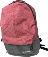 Schoolrugzak - Rugzak - Nylon - Dubbele kleur - Met USB-poort - Roze met grijs