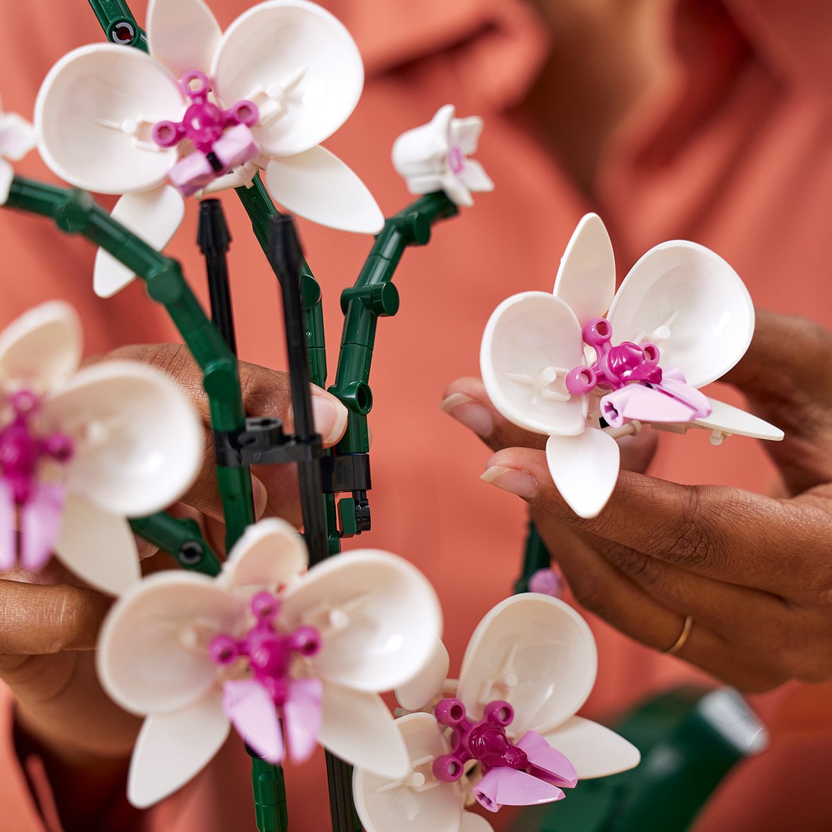 LEGO Icons Orchidee - Botanical Collection - 10311 — afbeelding 24