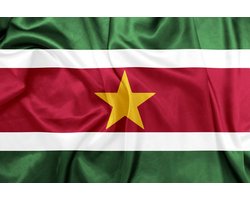 Surinaamse vlag - Suriname - 90 x 150 cm