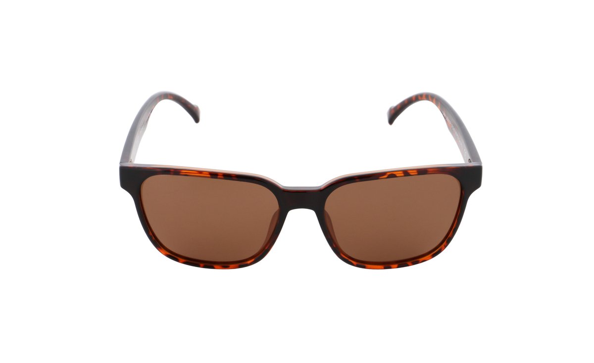 Red Bull Spect Eyewear - CARY_RX-003P