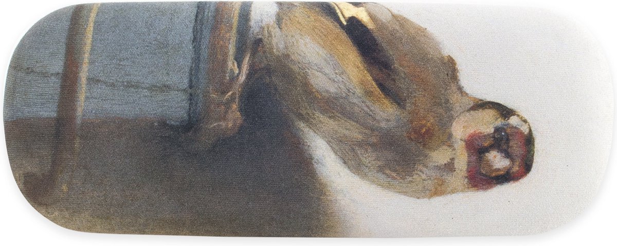 Lanzfeld - Brillenkoker - Het Puttertje - Fabritius - Hard Case - Microfiber