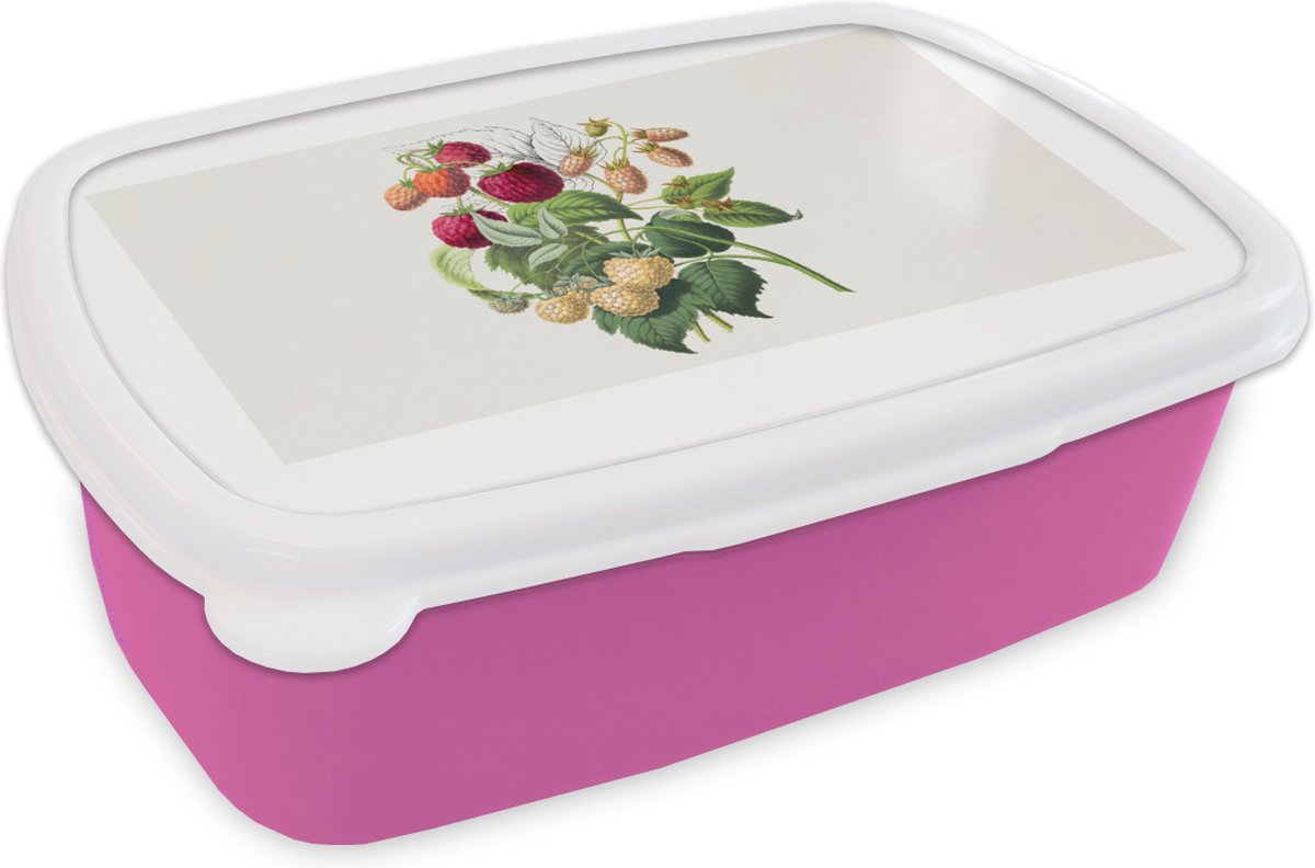 Broodtrommel Roze - Lunchbox - Brooddoos - Aardbei - Fruit - Vintage - 18x12x6 cm - Kinderen - Meisje