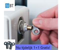 Installateurs Ontluchtingssleutel Voor Radiator - 5,2 x 5,2 mm - 2 Sleutels
