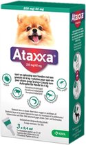 Ataxxa Spot On Anti Vlooien en Teken Druppels Hond tot 4 kg 3 pipetten