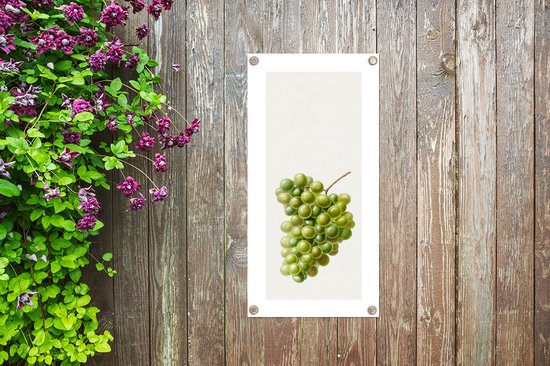 Poster de jardin Raisins - Fruits - Nourriture - 30x60 cm - Toile de jardin - Poster extérieur