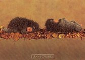 poster Ricordi Anne Geddes - hedgehog 50 x 40 cm