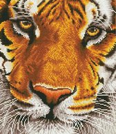 Diamond Dotz® Tiger Bengal Magic - Peinture au diamant (44x50 cm)