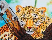 Peinture Diamond Dotz ® Art Leopard Look (45,7x35,5 cm)