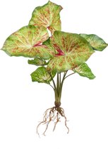 Kunstplant Anthurium 40 cm groen/rood