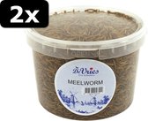 2x - DE VRIES MEELWORM SOLDIER FLY 480