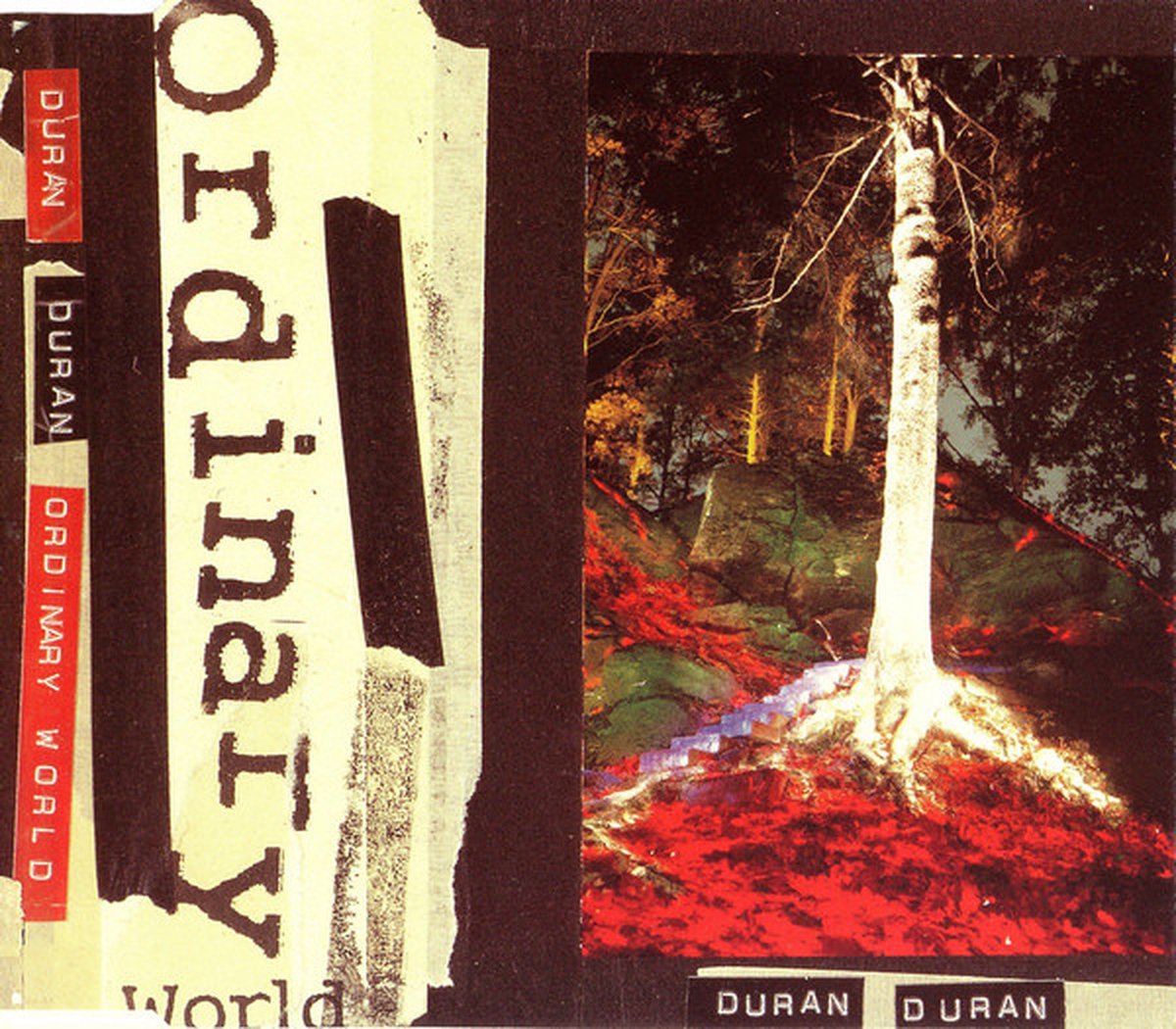 Ordinary World