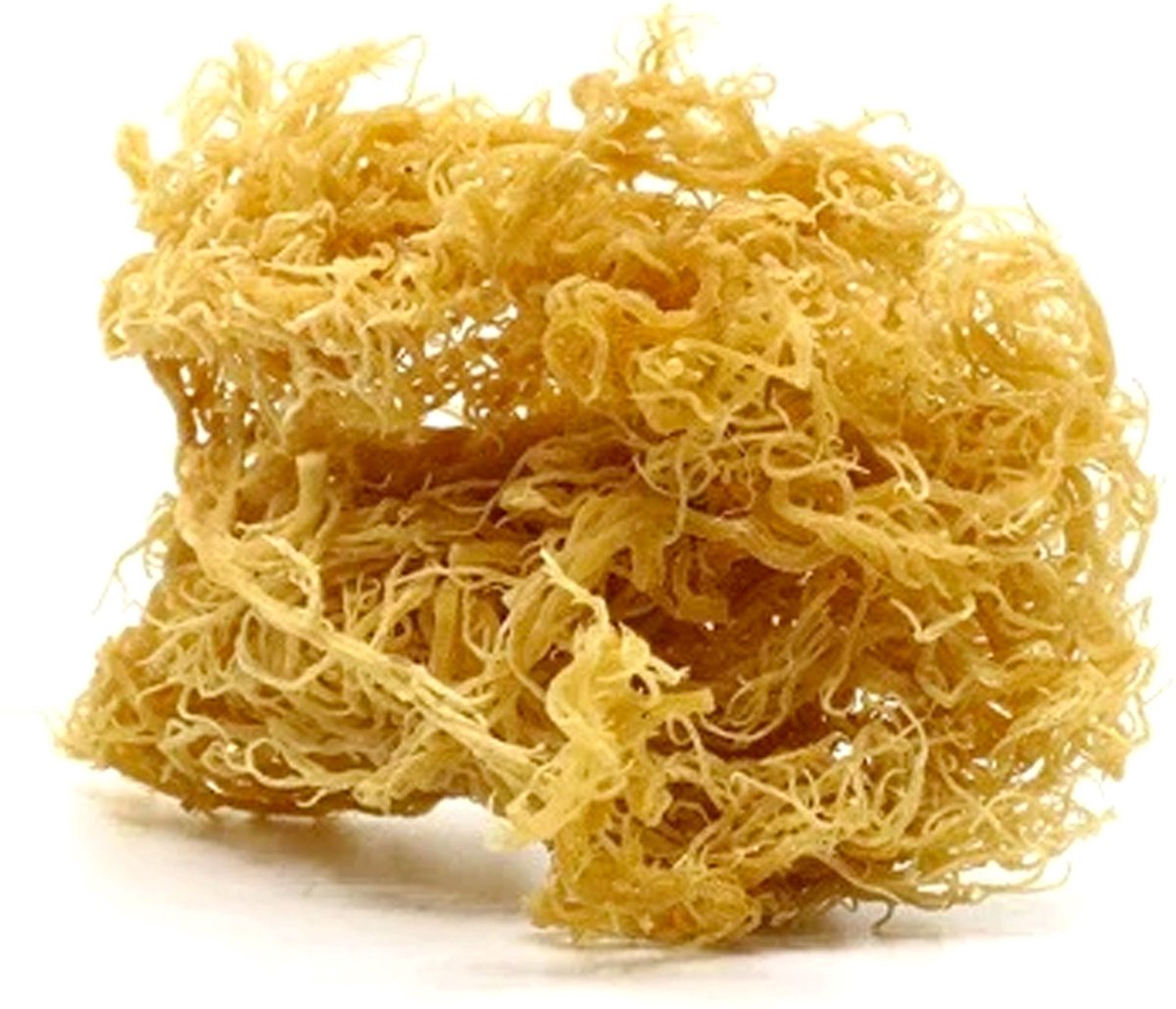 LYLO Irish Sea Moss - Vegan zeewier rijk aan mineralen en antioxidanten