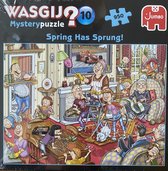Wasgij Mystery 10 De voorjaarsschoonmaak puzzel - 950 stukjes